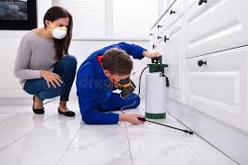 Best Residential Pest Control  in Independence, LA